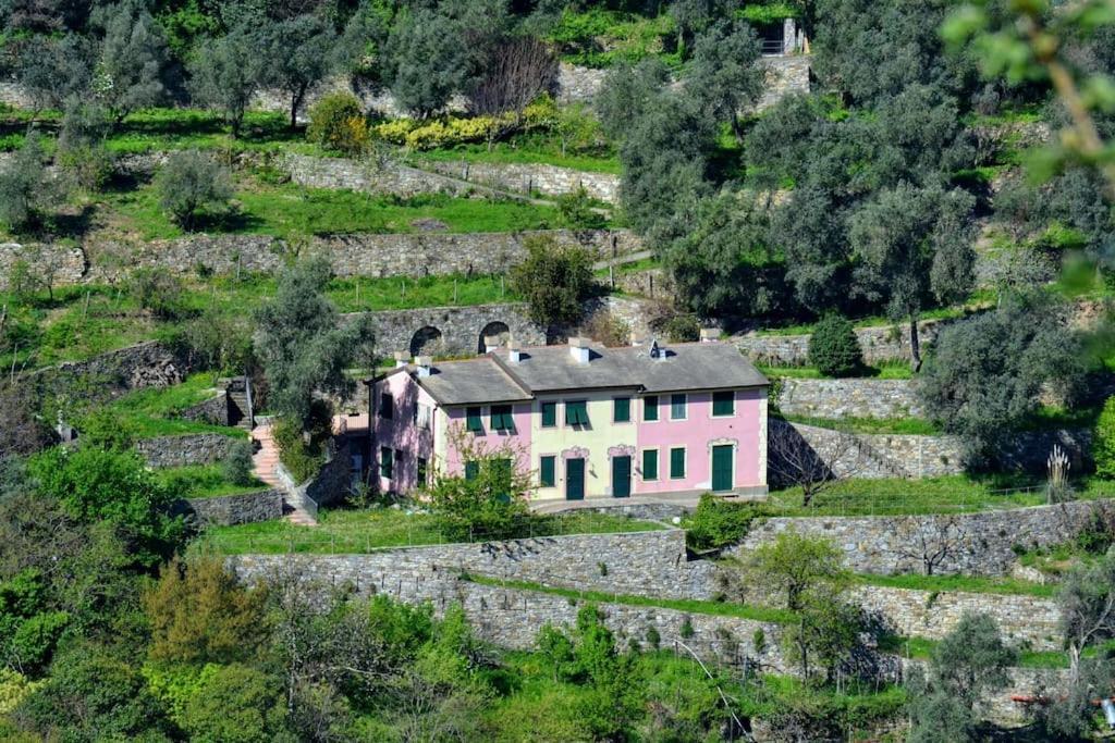 Villa Olivari - Apt Il Melograno Camogli Eksteriør billede