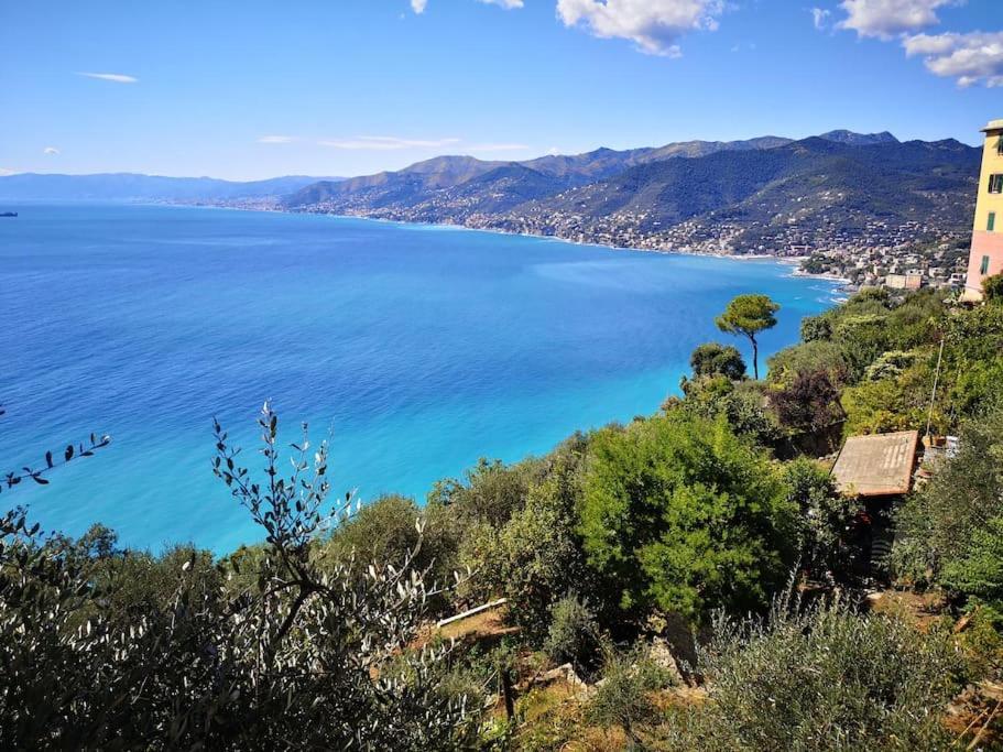 Villa Olivari - Apt Il Melograno Camogli Eksteriør billede