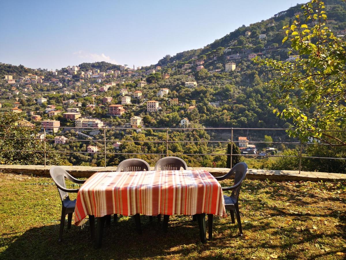 Villa Olivari - Apt Il Melograno Camogli Eksteriør billede