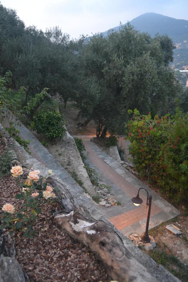 Villa Olivari - Apt Il Melograno Camogli Eksteriør billede